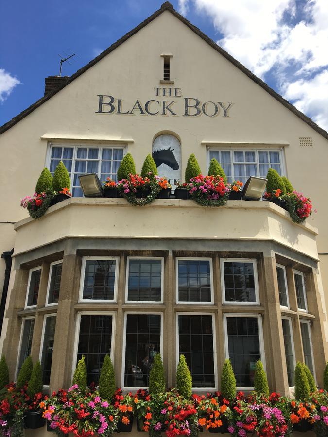 Herberg The Black Boy 4*
